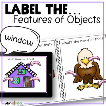 Preview of Labeling Features - Label parts pictures kindergarten speech therapy ABA goals