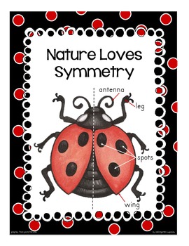 ladybug: an introduction to symmetry by kindergarten kupcakes | TpT