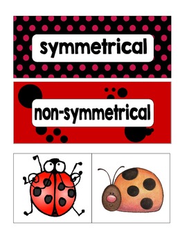 ladybug: an introduction to symmetry by kindergarten kupcakes | TpT