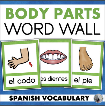 Preview of las partes del cuerpo SPANISH Body Parts Vocabulary Word Wall