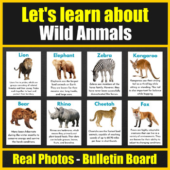 real wild animals