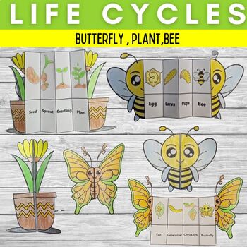Preview of life cycle foldable sequencing activities - Fun cut and paste craft science