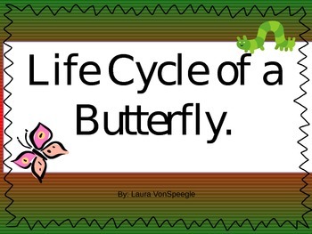Preview of life cycle of a butterfly