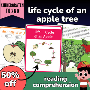 Preview of Apple life cycle, apple tree and apple,life cycle of an apple worksheet,