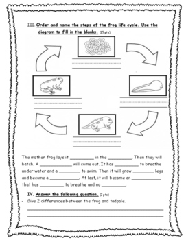 life cycle test by laylanoureddine noureddine | TPT