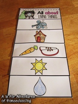 living and non living things flip book by