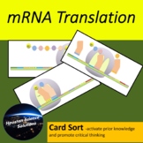 mRNA Translation Card Sort