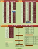 Medical Terminology  for reading comprehension