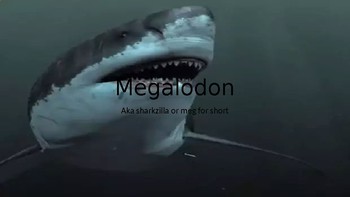 Preview of megalodon info