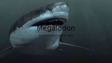 megalodon info