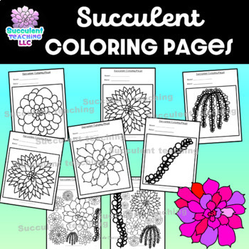 multiple succulent coloring pages by Succulent Teaching | TpT