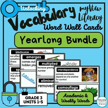 Preview of myView 3rd Grade YEARLONG Supplement Vocabulary Word Wall Cards Units 1-5