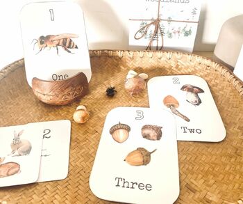 Preview of nature inspired 1-10 flashcards