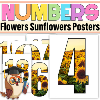 Preview of Sunflowers Bulletin Board Numbers to 20|Flowers Numbers Posters Classroom Décor