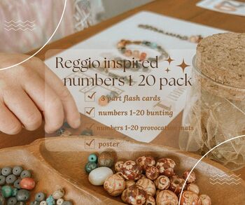 Preview of numbers 1-20  flash cards and provocation mats- REGGIO INSPIRED | natureED