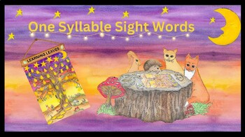 Preview of Beginner Reader: One Syllable Sight Words