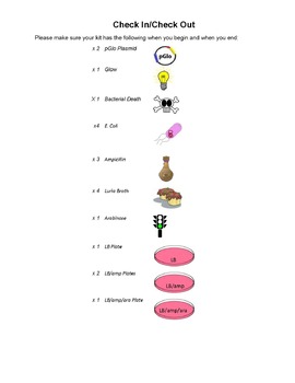 Preview of pGlo/Bacterial Transformation Manipulatives