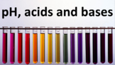 Acids & Bases PowerPoint and Worksheet