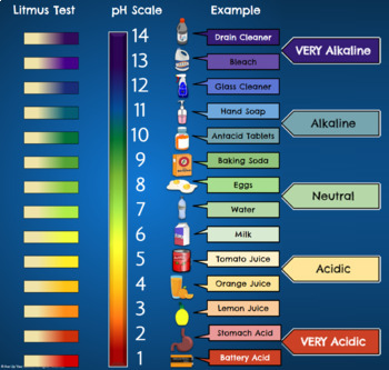 pH Scale - Digital Draggable Science Model by Ace Up Your Sleeve