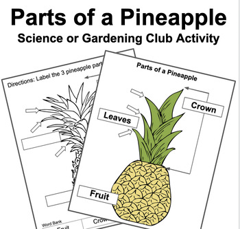 Preview of parts of a pineapple | Life Cycle of a Plant Unit - Garden Club Activity