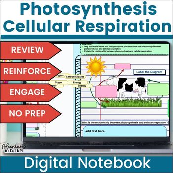 Preview of photosynthesis and cellular respiration activities Digital Interactive Notebook