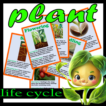 Preview of plant life cycle,plant life cycle book