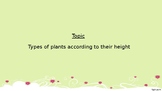 plants according to their heights, powerpoint, lesson