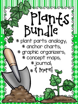 plants bundle: life cycles, graphic organizers, posters and more