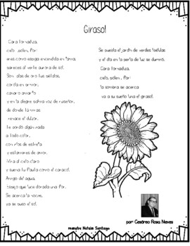 poemas Cesáreo Rosa Nieves by maestra Natalie Santiago | TPT