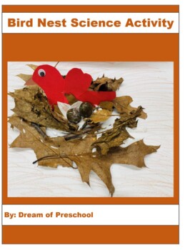 Preview of preschool and kindergarten Bird Nest Science Activity | Spring Nest |