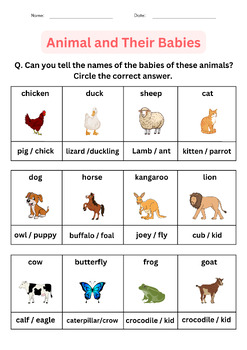 printable matching animals and their babies worksheet for grade 1, 2, 3
