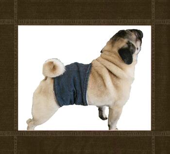 Preview of pug large toy breed size dog diaper wrap belly band sewing pattern pdf download