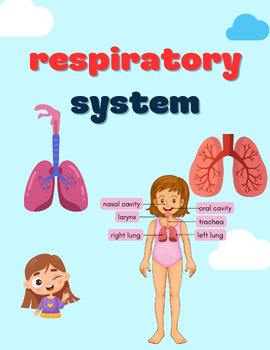 respiration for kids