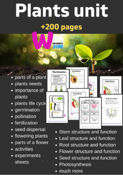 Preview of root cross section worksheets and plants unit parts and structure 200 pages