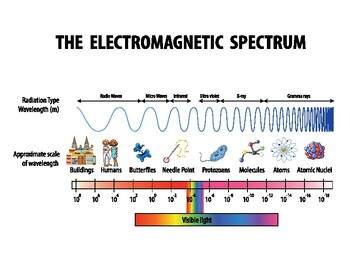 Preview of science electromagnetic spectrum diagram - poster - Ready to print
