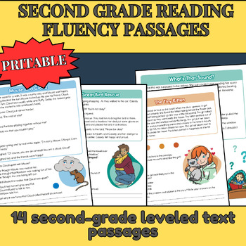 Preview of 2nd grade reading passages with multiple choice questions ,fluency passages