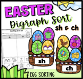 sh and ch Digraph Easter Worksheet and Sort