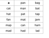 short phonetic words booklet (mostly CVC "pink" words)