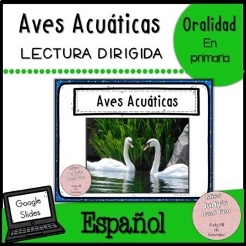 Preview of spanish reading comprehension passages google slides aves