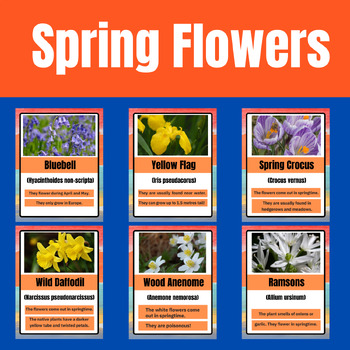 spring-flowers-Printable flashcards by Saadia Emporium | TPT