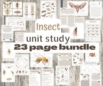 Preview of spring insect study