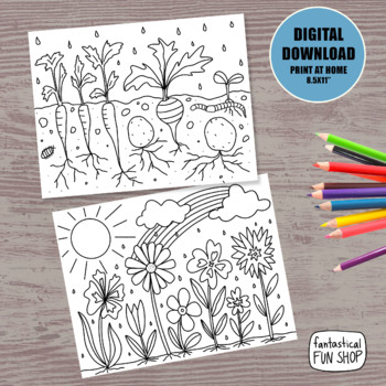 Preview of spring theme coloring pages, vegetable garden, flower garden, nature worksheets