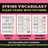 spring vocabulary flashcards w/ pictures | Portuguese & Sp