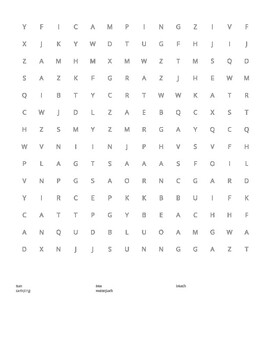 Preview of summer word search