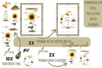Preview of sunflower png clipart plus premade posters