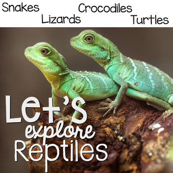 Preview of Reptiles