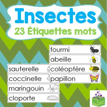 Preview of Insectes Étiquettes mots- Bugs Word Wall FRENCH