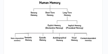 Preview of types of memory in psychology chart and mini project