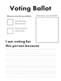 voting ballot for 2012 election
