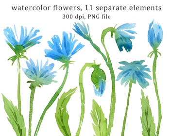 Watercolor Blue Flowers Clipart Set 10 By Swiejko Tpt